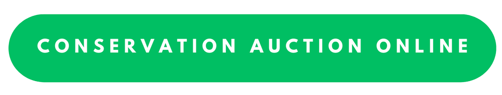 Button for link to Conservation Auction online for 2025 Zeffy web page.